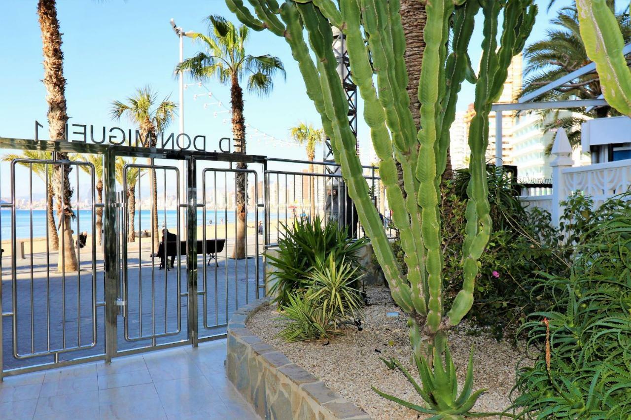 Apartamento Don Miguel 1 18-a Levante
